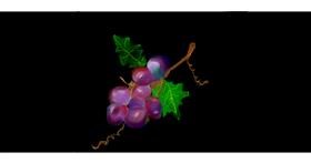 Drawing of Grapes by Soraya