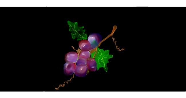 Drawing of Grapes by Soraya
