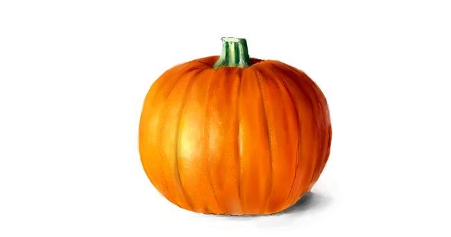 Drawing of Pumpkin by 𝐋𝐢𝐚