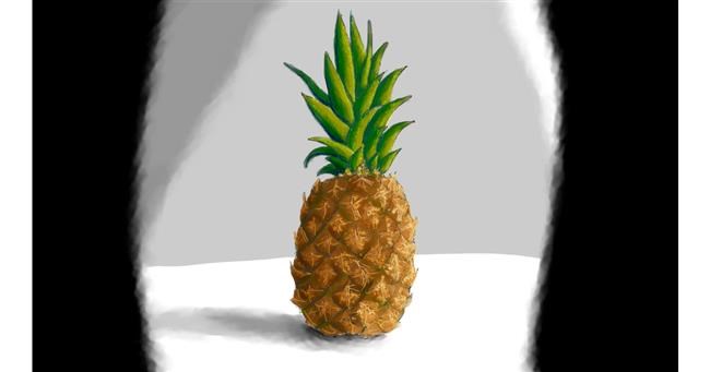 Drawing of Pineapple by Winter Bunny