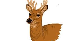 Drawing of Deer by Shayway