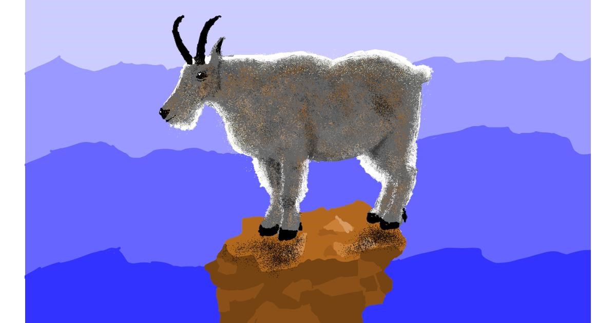 Drawing of Goat by Sam