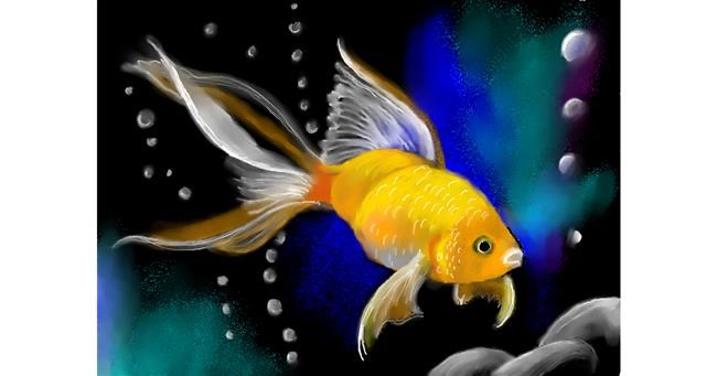 Drawing of Goldfish by PrettyPixels