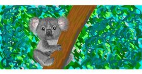 Koala - autor: Vrdana