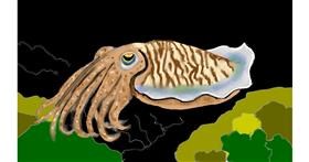Drawing of Cuttlefish by SAM AKA MARGARET 🙄