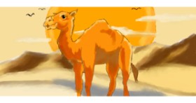 Drawing of Camel by Puta