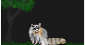 Drawing of Raccoon by Chaching