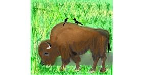 Bison-Zeichnung von Gzell