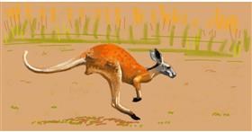 Drawing of Kangaroo by shiNIN