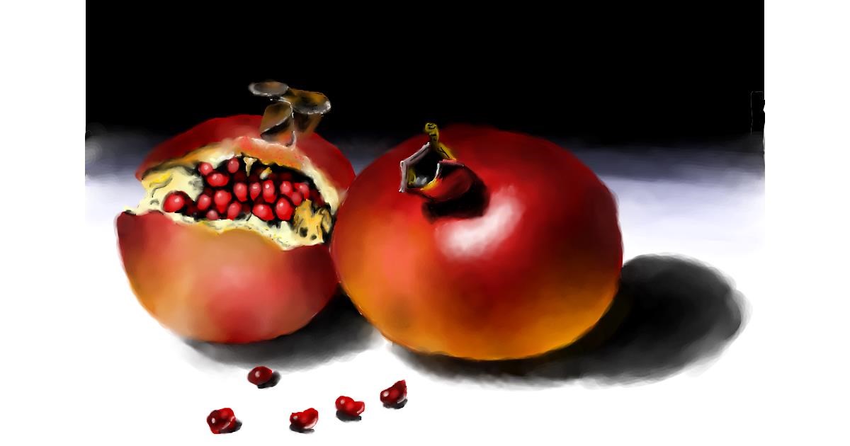 Drawing of Pomegranate by Wizard
