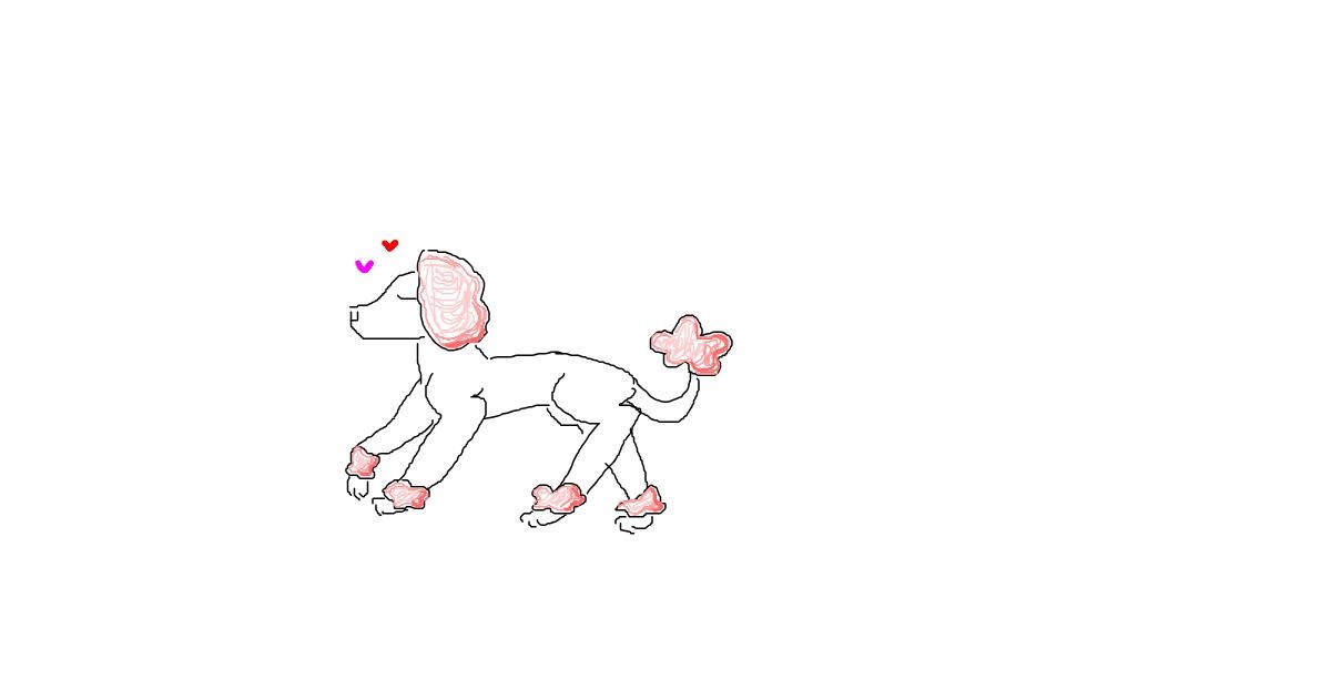 Drawing of Poodle by uwu