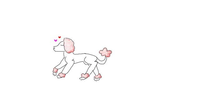 Drawing of Poodle by uwu