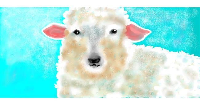 Drawing of Sheep by Debidolittle
