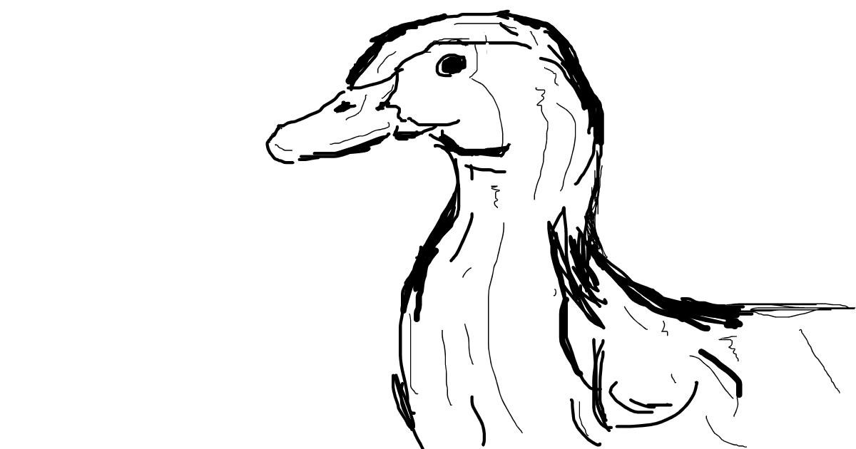 Drawing of Duck by Flintlock pistol