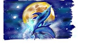 Drawing of Dolphin by Mab