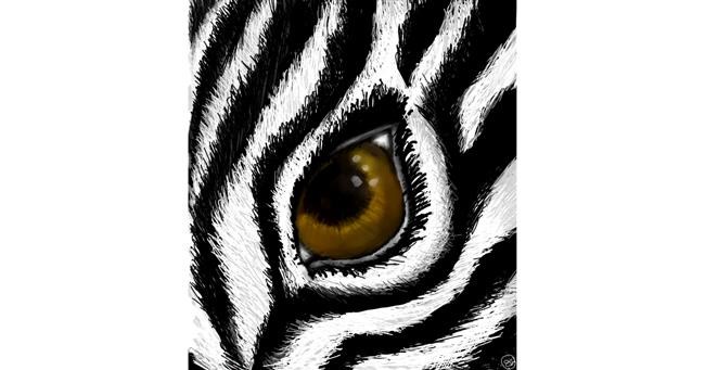 Drawing of Zebra by 🌌Mom💕E🌌