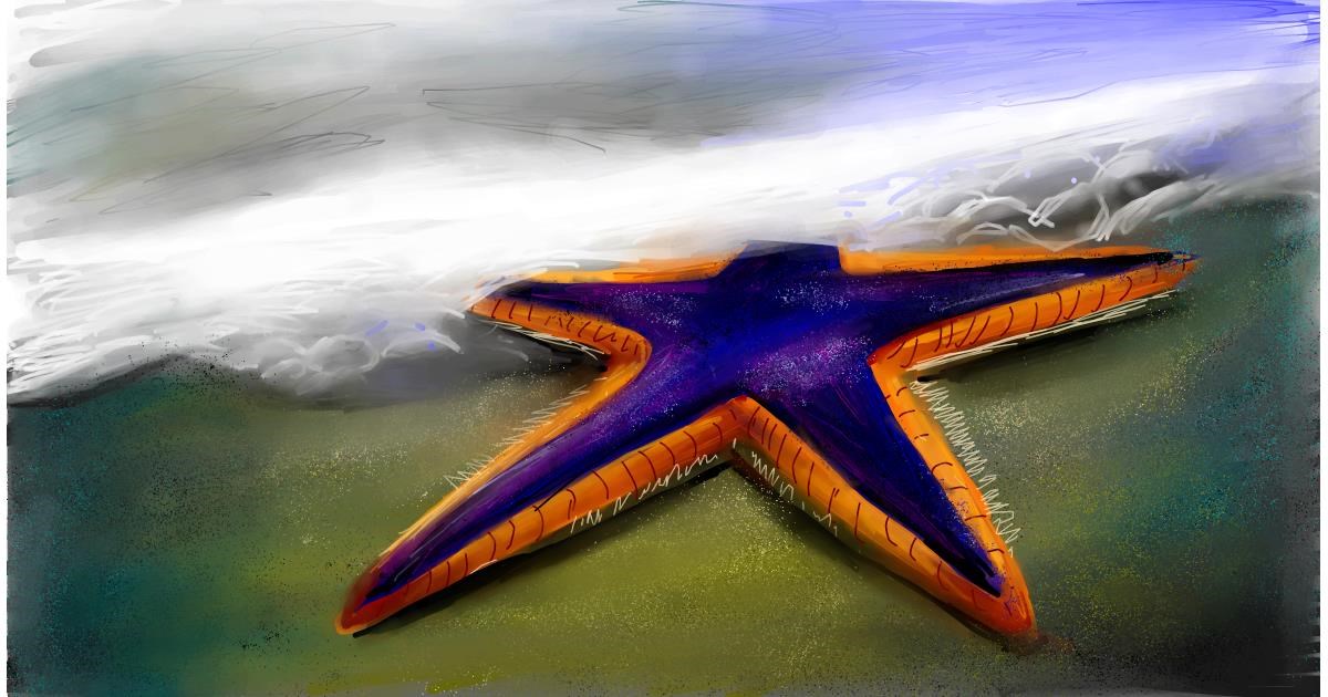 Drawing of Starfish by Soaring Sunshine