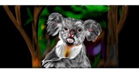 Drawing of Koala by Chaching
