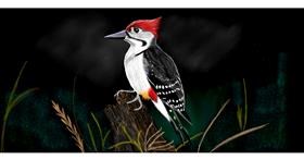 Djetlić - autor: Chaching