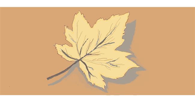 Drawing of Leaf by Alex