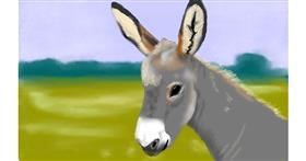 Drawing of Donkey by Tim