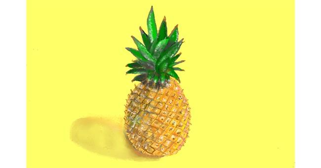 Drawing of Pineapple by GJP