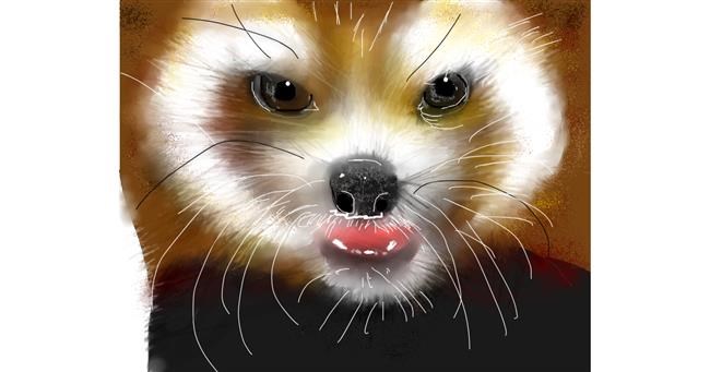 Roter Panda-Zeichnung von Mandy Boggs