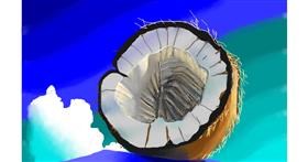 Kokosnuss-Zeichnung von Herbert