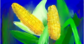 Drawing of Corn by Ryu