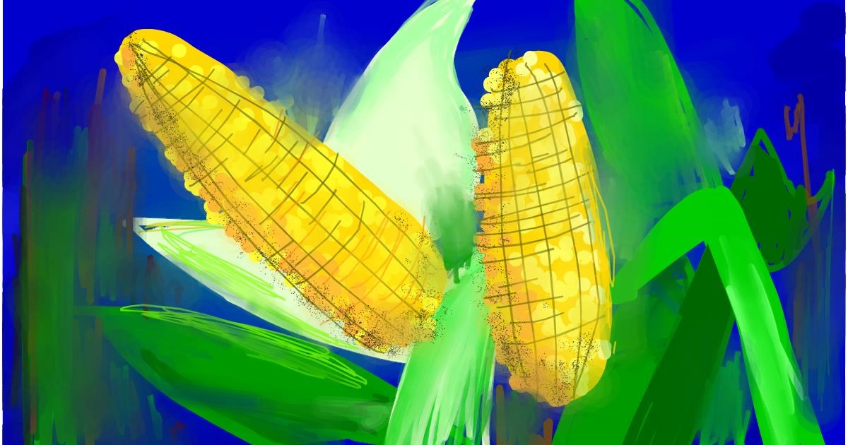 Drawing of Corn by Ryu