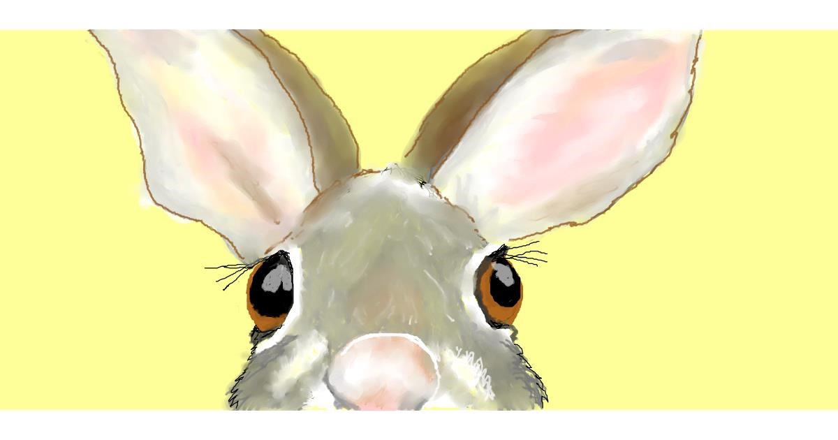 Drawing of Rabbit by Debidolittle