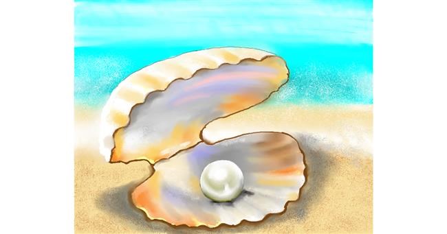 Drawing of Seashell by Cec