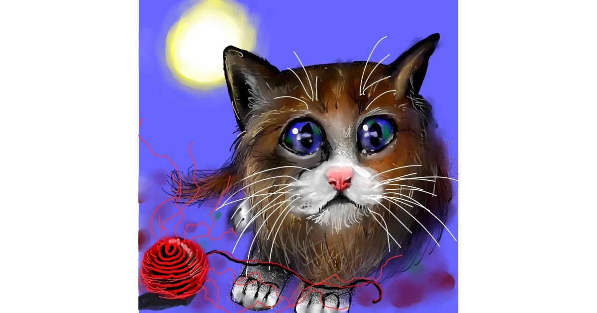 Drawing of Kitten by Leah