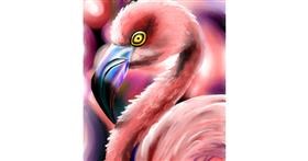 Drawing of Flamingo by pikapy