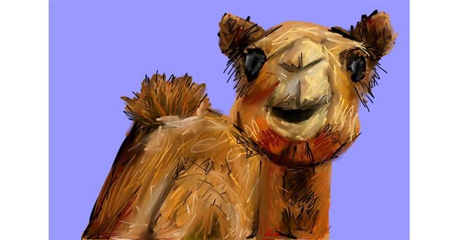 Drawing of Camel by Mia