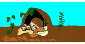 Drawing of Hedgehog by meebo