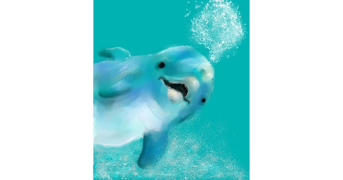 Drawing of Dolphin by 👽mint