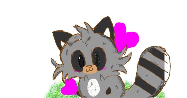 Drawing of Raccoon by kelly