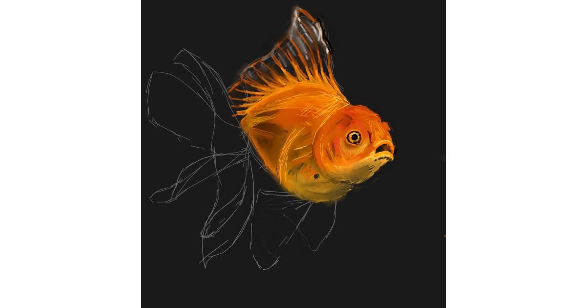 Drawing of Goldfish by Andromeda