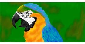 Ptica - autor: Temüjin