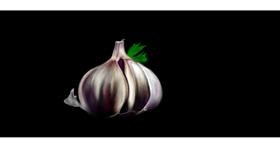 Drawing of Garlic by Chaching