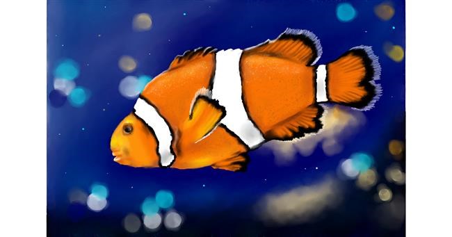 Drawing of Clownfish by RadiouChka