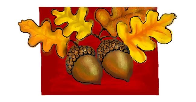 Drawing of Acorn by Debidolittle