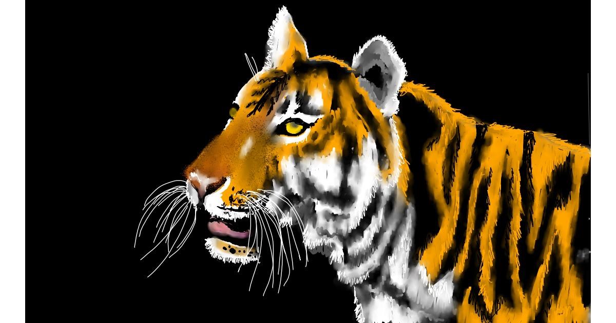 Drawing of Tiger by SAM AKA MARGARET 🙄