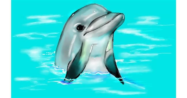 Drawing of Dolphin by Tim