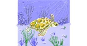 Drawing of Sea turtle by Geo-Pebbles