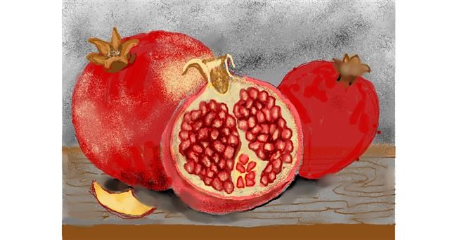 Granatapfe-Zeichnung von SAM AKA MARGARET 🙄