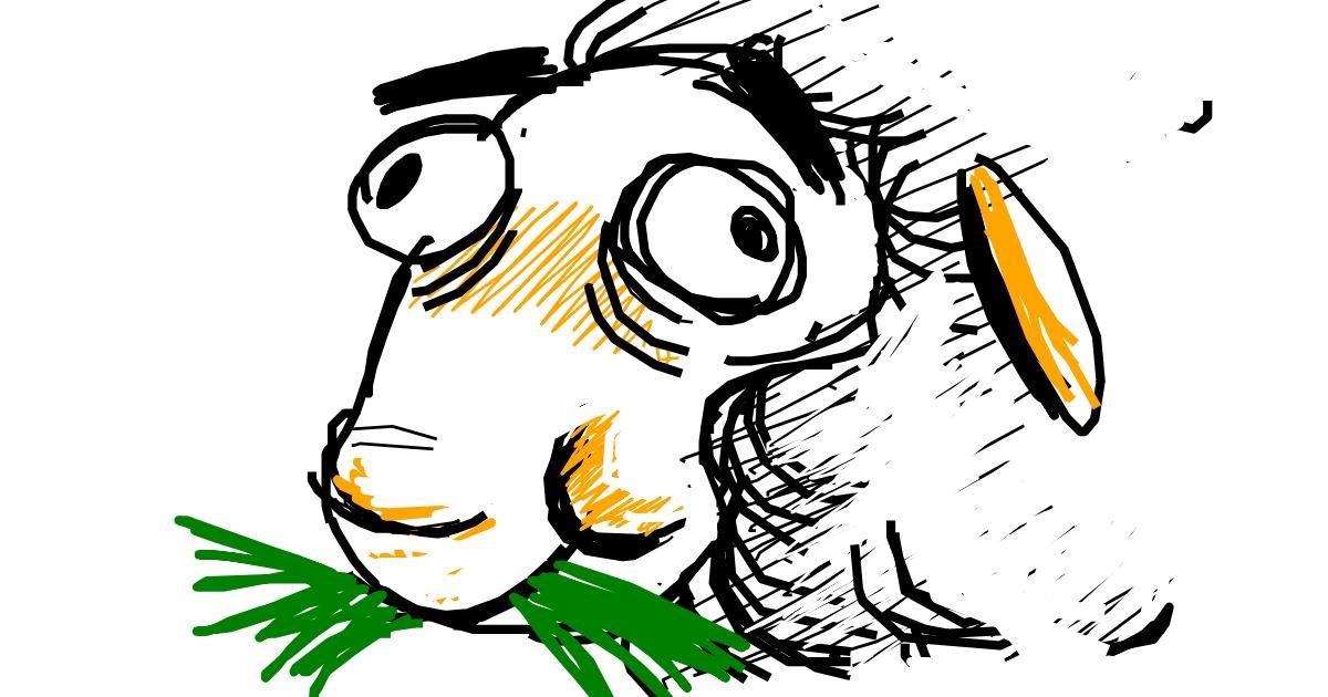 Drawing of Sheep by Derp