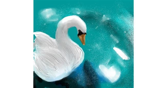 Drawing of Swan by Michi 