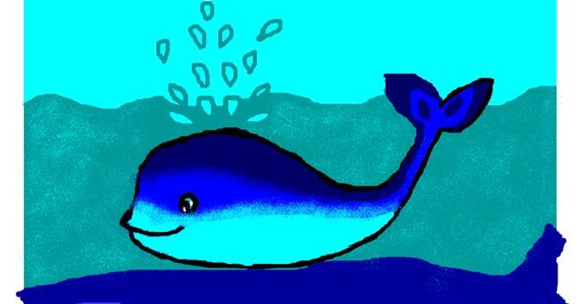 Drawing of Whale by TRIPPYHIPPEX